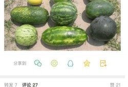 新瓜最新爆料,揭秘娱乐圈最新热点事件内幕